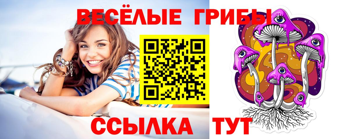 Псилоцибиновые грибы прущие грибы  Вход с VPN  где купить наркоту  Брянск 